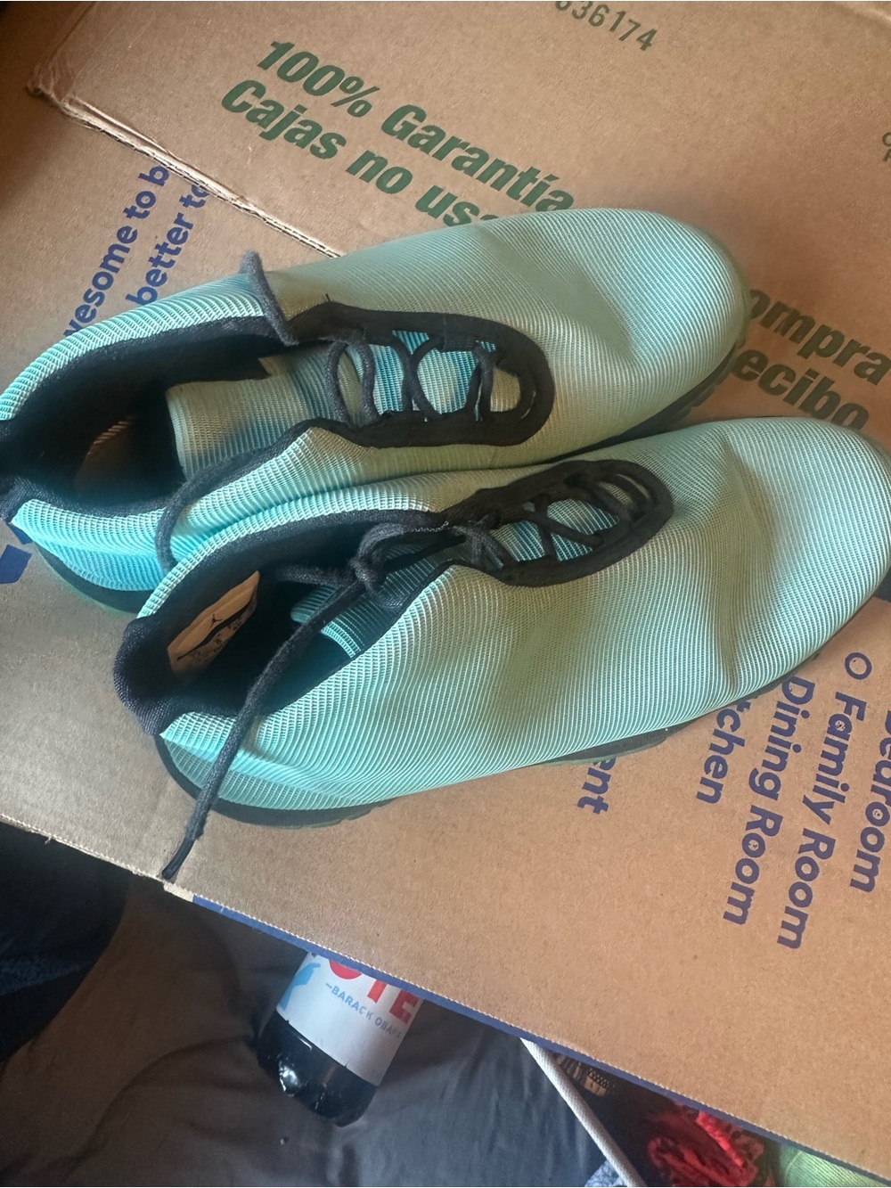 Air Jordan Future GG Bleached Turquoise no box